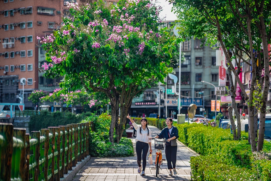 鴨母港溝繁花似錦 大顯「紫」威