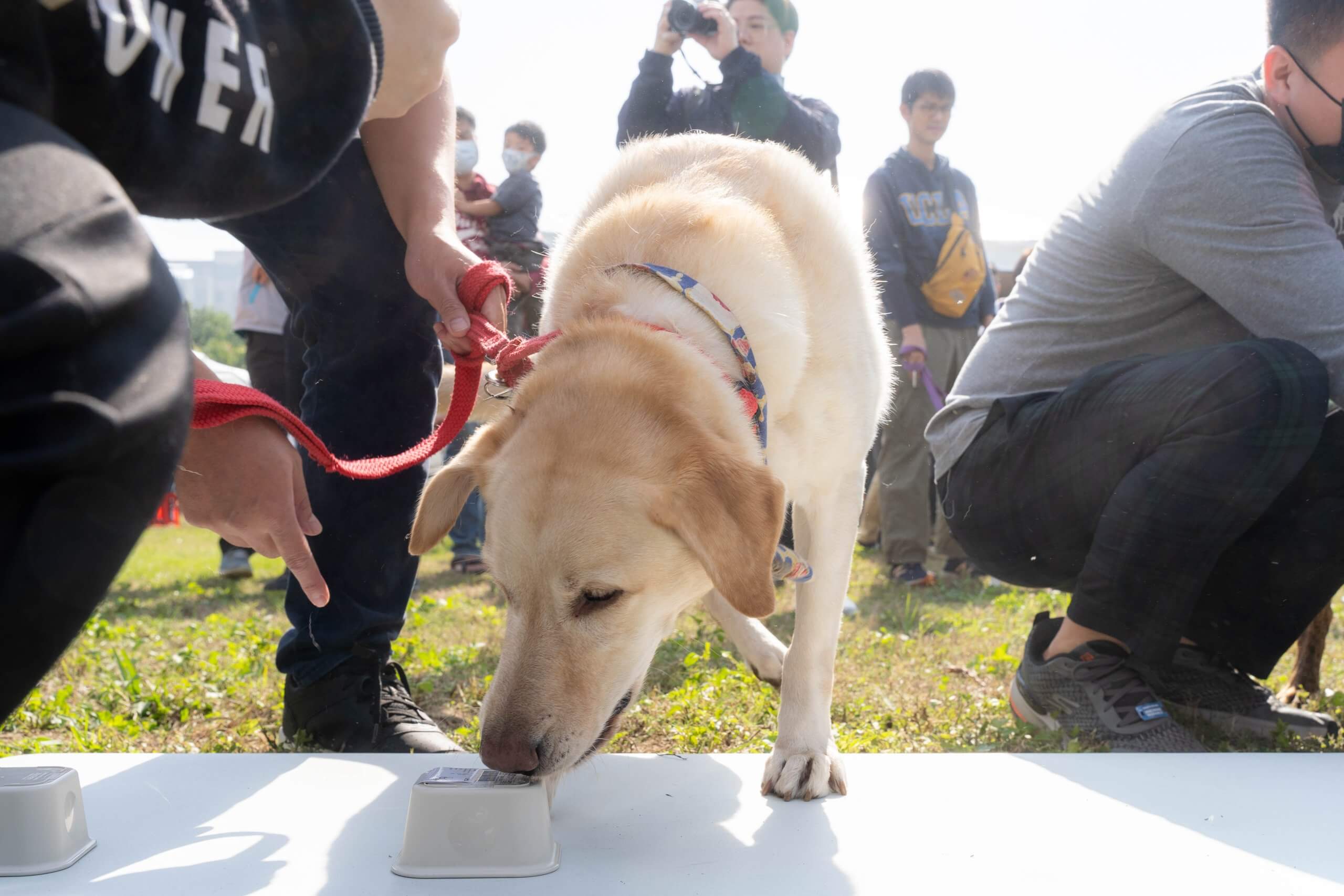 竹市毛小孩運動會登場！ 高市長現身與萌寵同樂 行動力挺「終養不棄養」