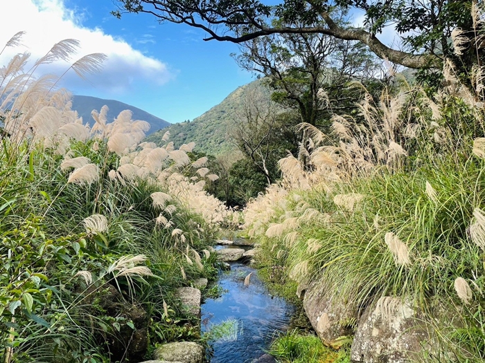 春遊陽明溪 臺北後山微旅行